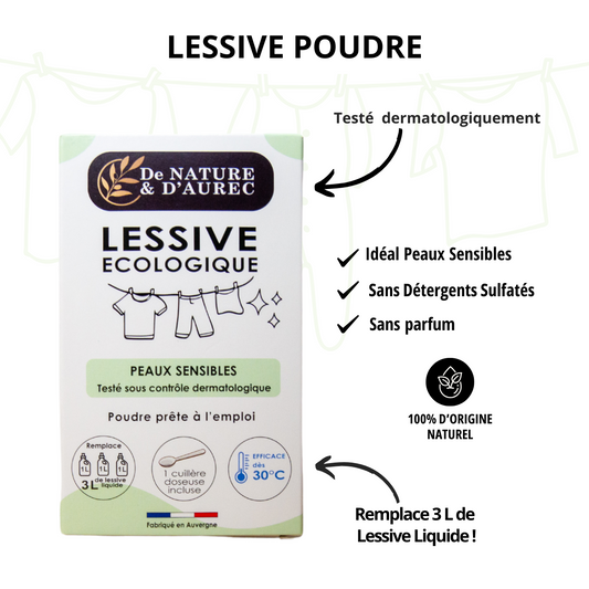 LESSIVE ECOLOGIQUE POUDRE